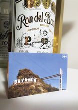 Load image into Gallery viewer, HollyBayamon Sticker