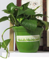 Load image into Gallery viewer, Stay Tranqui Sticker